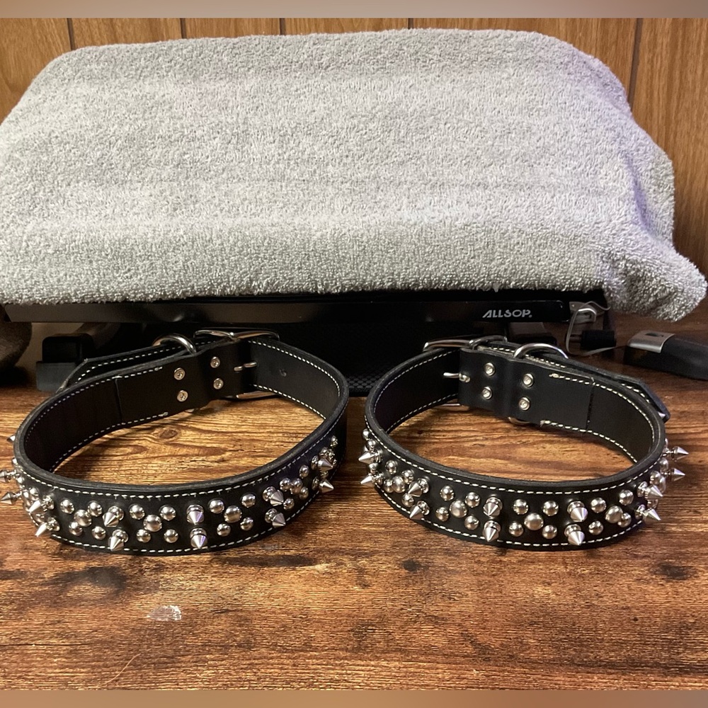 Circle T® Black Leather Double-Ply Spiked Dog Collar. 1 1/2" x 24” & 1 1/2”x 24”